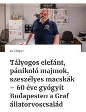 We Love Budapest cikk