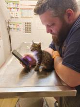 Péter és cica